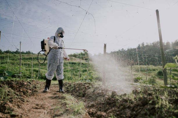 Best Best Pest Control Companies  in Belle Fourche, SD