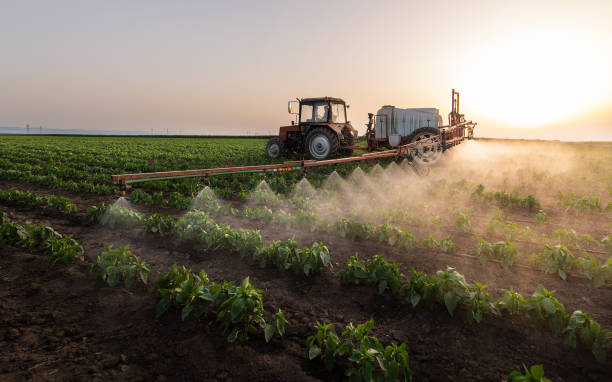 Belle Fourche, SD Pest Control Company