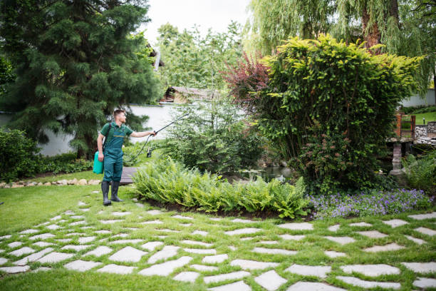 Best Wasp Removal Services  in Belle Fourche, SD