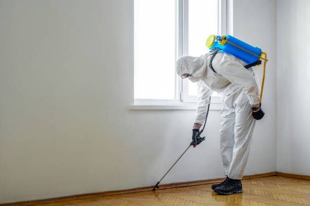 Best Ant Control Services  in Belle Fourche, SD