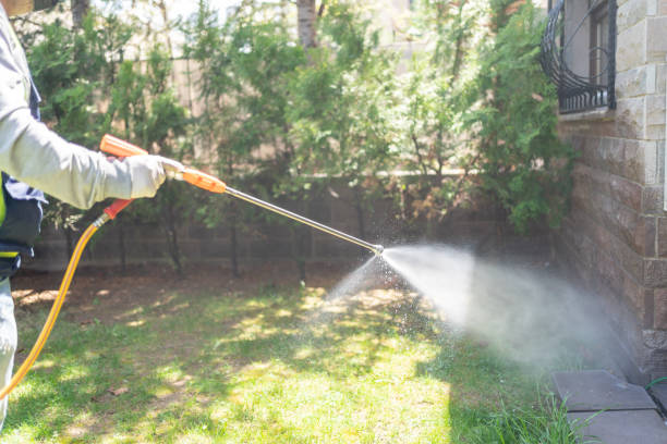 Best Emergency Pest Control  in Belle Fourche, SD