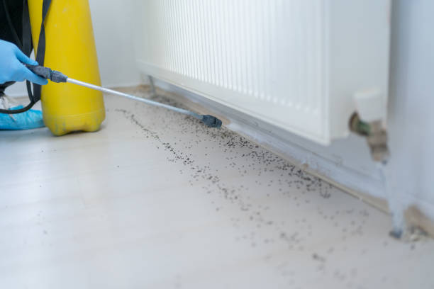 Best Pest Prevention Services  in Belle Fourche, SD